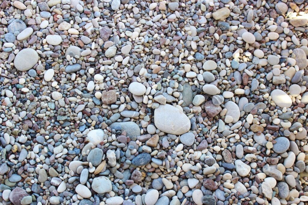 Chanca Piedra: Kidney Stone Buster or Bust?