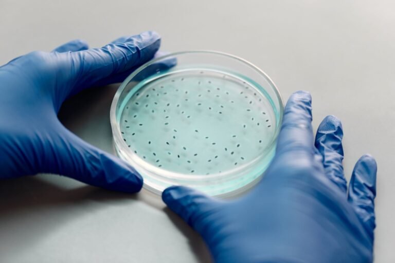Does Macrobid Work for Kidney Infection? Antibiotic Truth