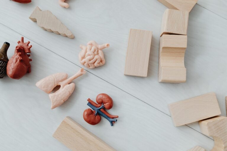 Kidney Stone Infection Sepsis: When It Gets Serious