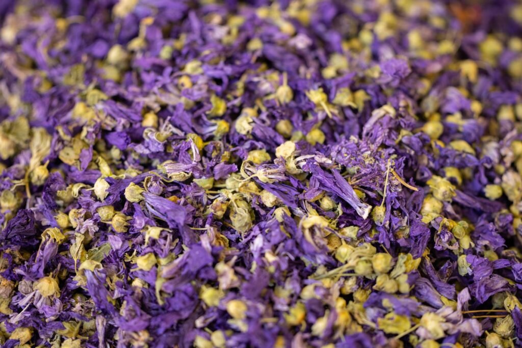 Mullein Tea Benefits: A Natural Remedy for Respiratory Health