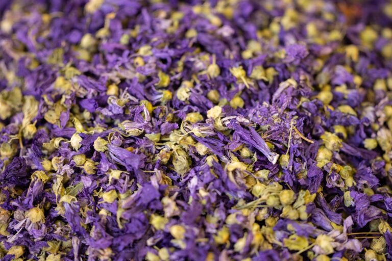 Mullein Tea Benefits: A Natural Remedy for Respiratory Health
