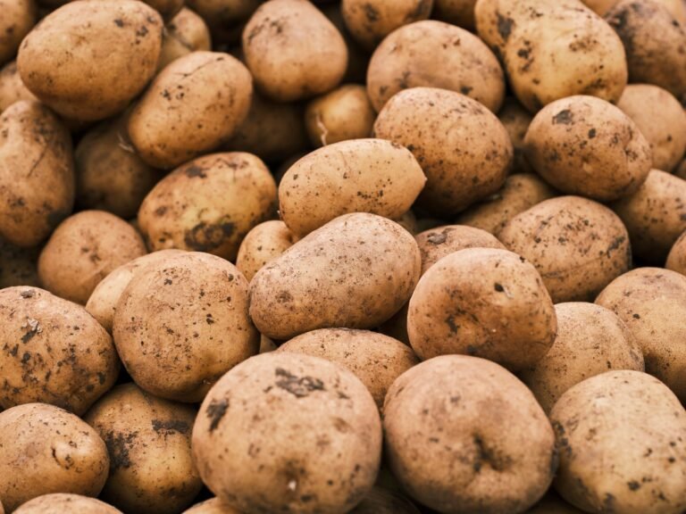 Potato Starch Substitute: Easy Baking Swaps