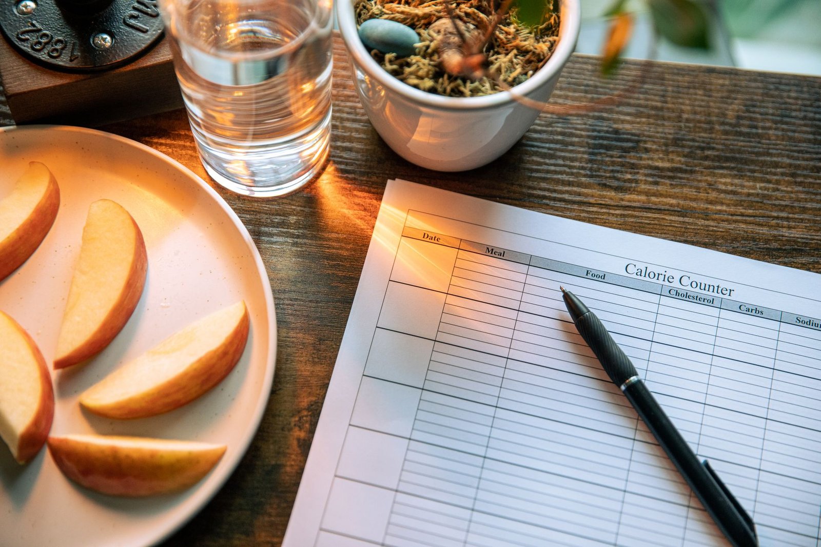 Seed Reviews: Does This Weight Loss Plan Deliver?