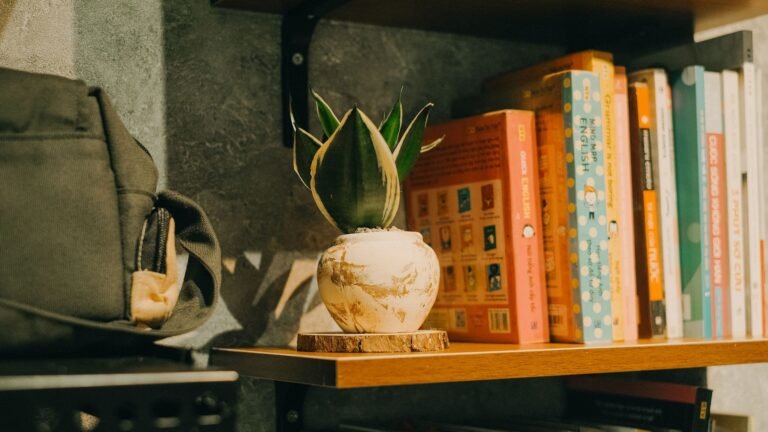 Snake Plant Benefits: Why It’s a Home Must-have