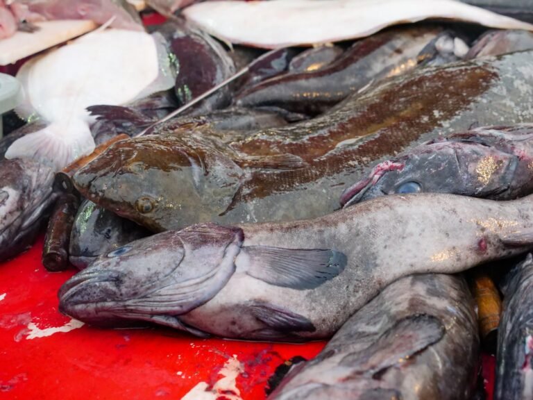 Swai Fish: is This Affordable Seafood Safe and Healthy?