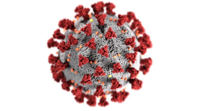 Vrsa Infection
