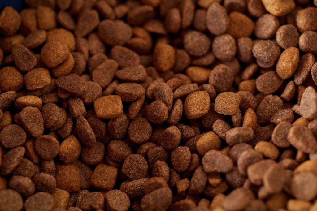 What to Feed When Dog Has a Yeast Infection