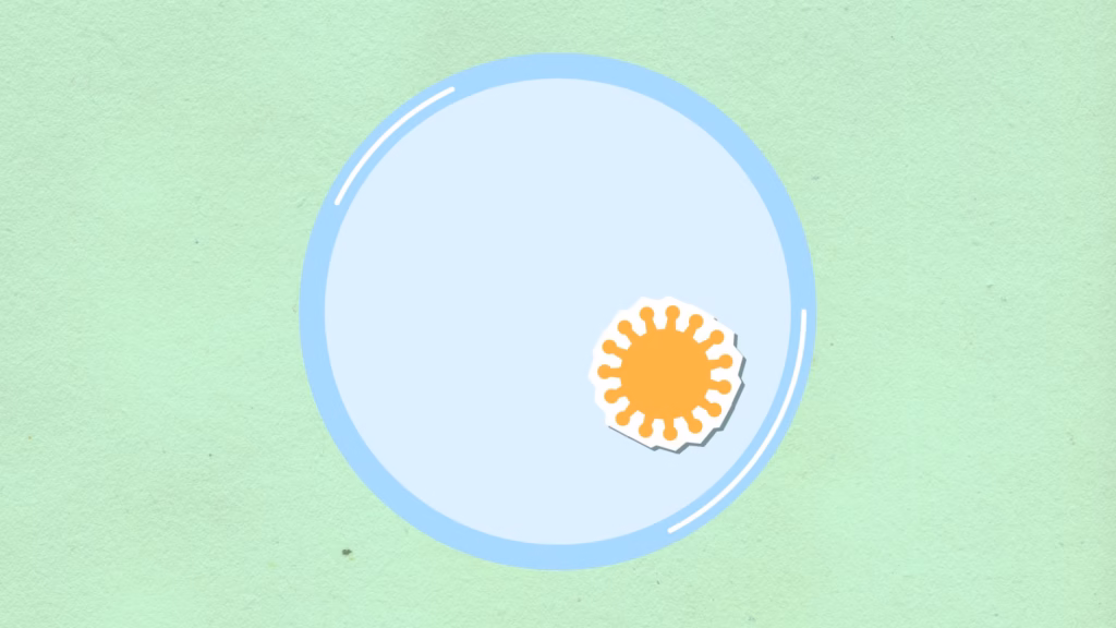 Epstein-barr Virus (ebv)