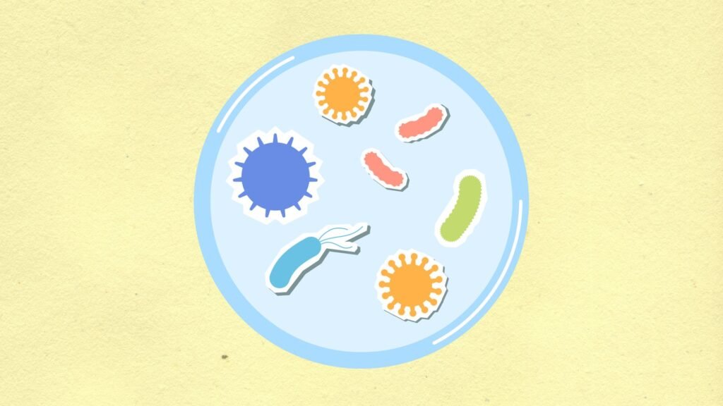 A close‑up illustration of diverse gut microbes supporting digestion