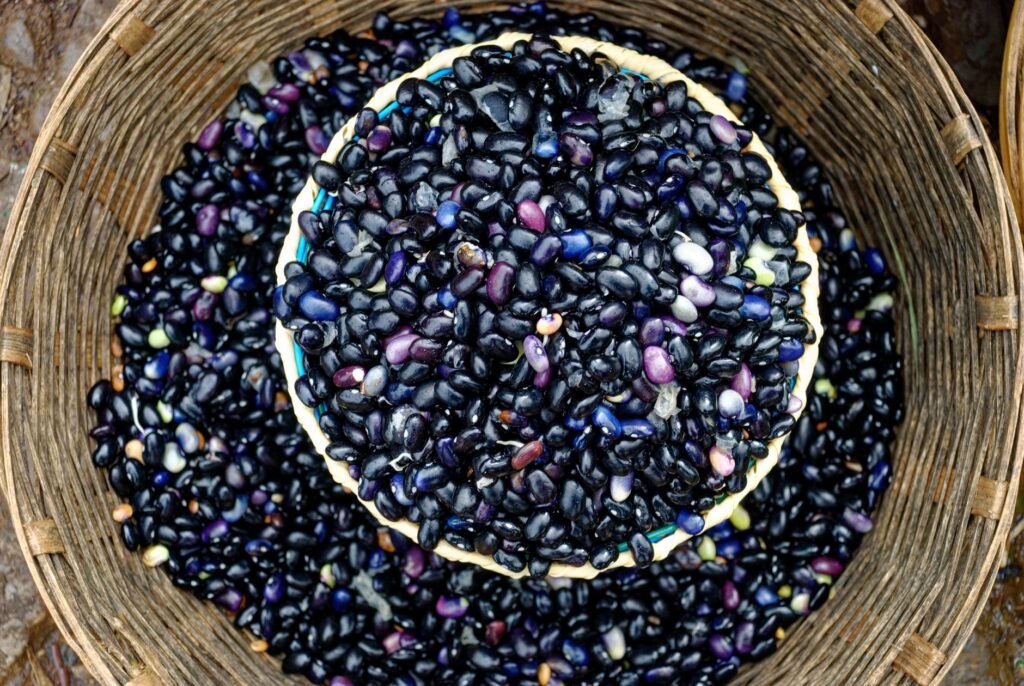 A colorful bowl of high‑fiber fruits, vegetables, and whole grains illustrates the variety of foods that support regular bowel movements