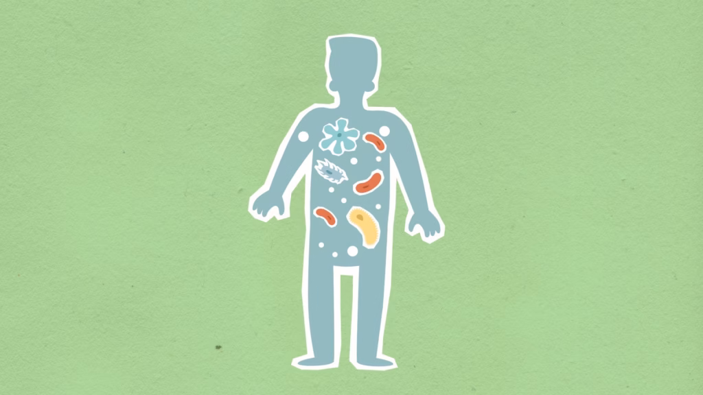A simple illustration of the gut microbiome showing diverse bacteria