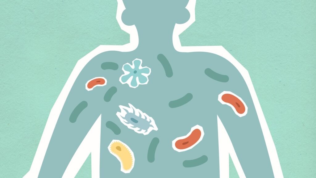 What damages the gut microbiome?
